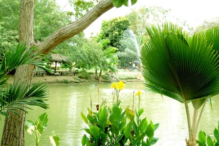 Jardín Botánico de Portoviejo